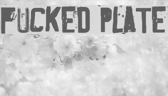 Fucked Plate Font examples