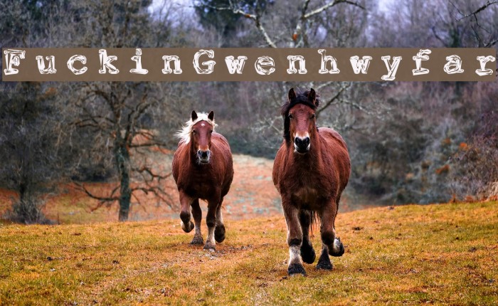 FuckinGwenhwyfar Example 2