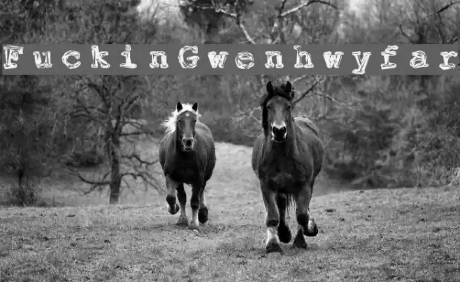 FuckinGwenhwyfar Font examples