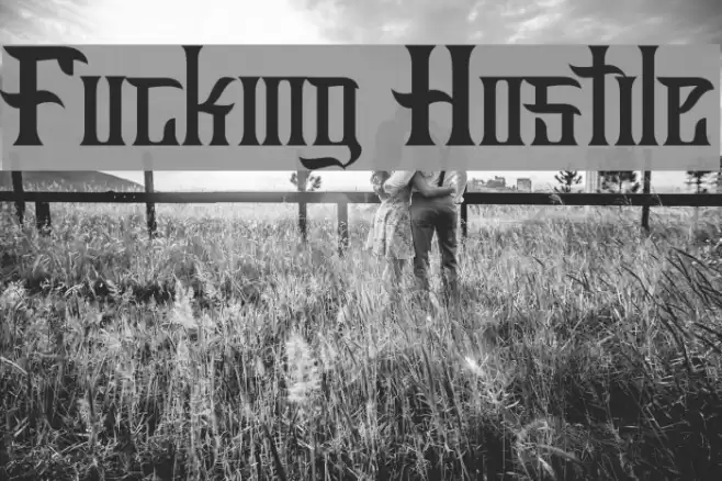 Fucking Hostile Font examples