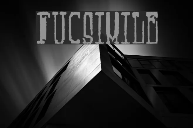 Fucsimile Example 3