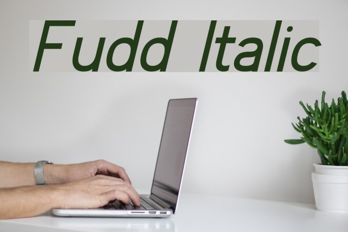Fudd Italic Font examples