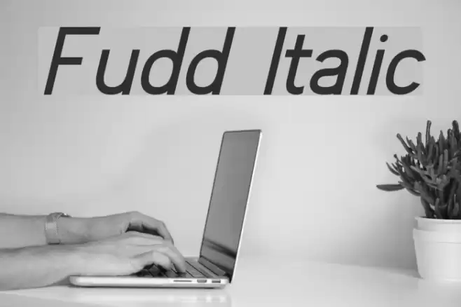 Fudd Italic Schriftart examples