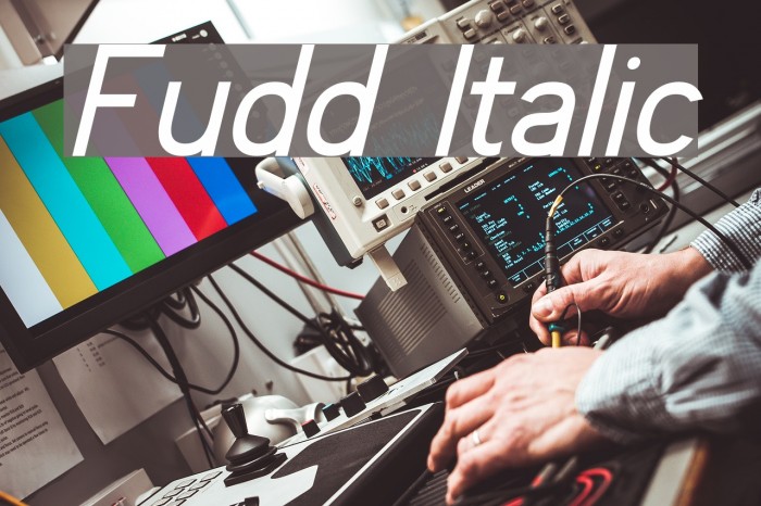 Fudd Italic Font examples