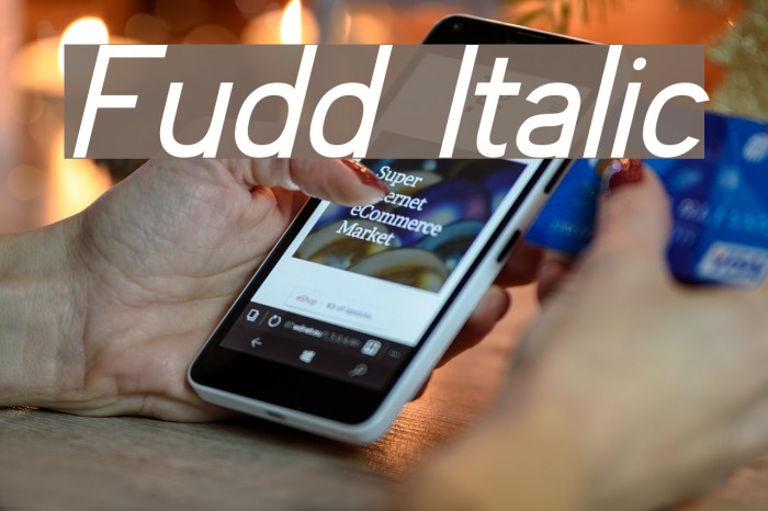 Fudd Italic Font examples