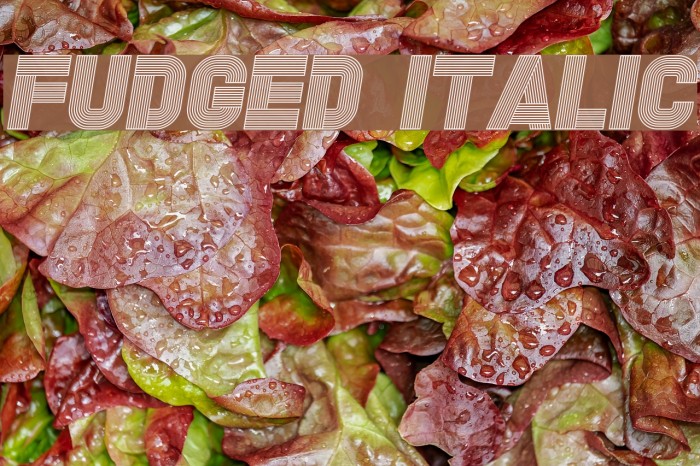 Fudged Italic Font examples