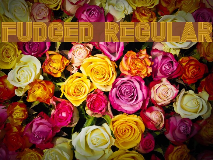 Fudged Regular Font examples