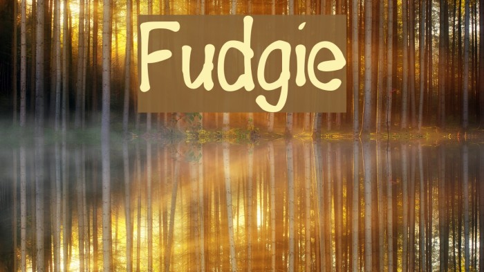 Fudgie Font examples