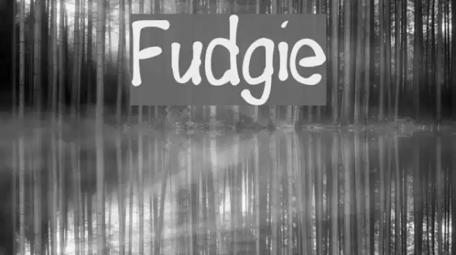 Fudgie Font examples