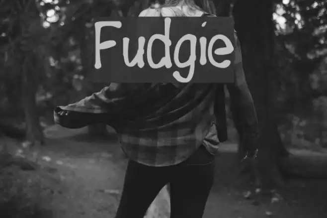 Fudgie Font examples