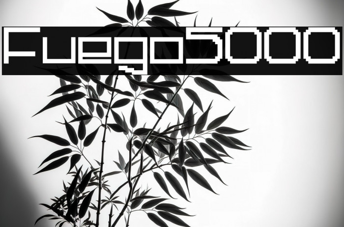 Fuego5000 Example 3