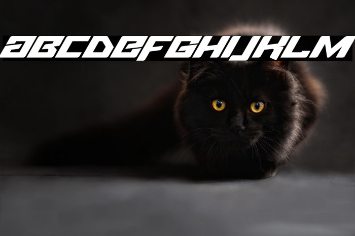 Fuel Injection Italic Example 2