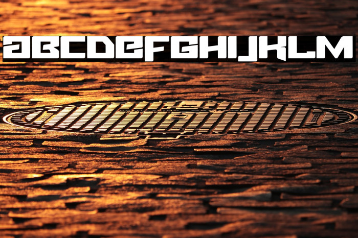 Fuel Injection Example 1