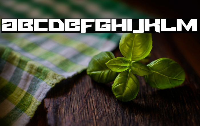 Fuel Injection Example 2