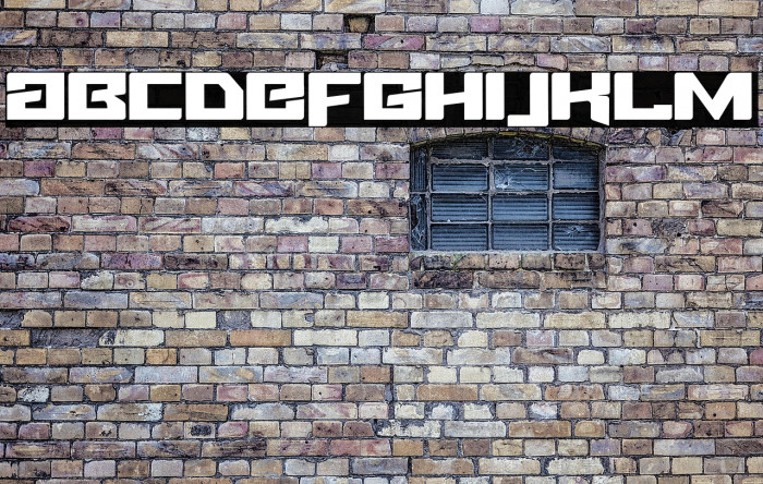 Fuel Injection Example 3