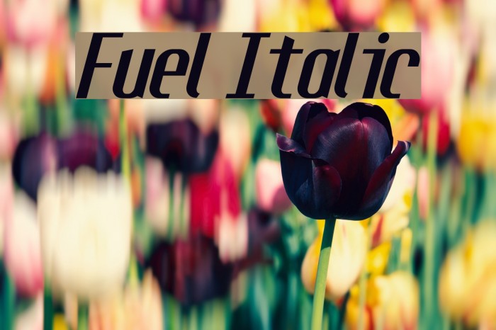 Fuel Italic Font examples