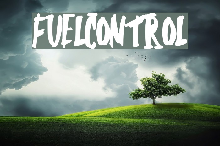 FuelControl Font examples