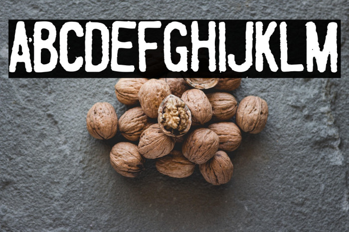 Fueled by Schlitz Example 1