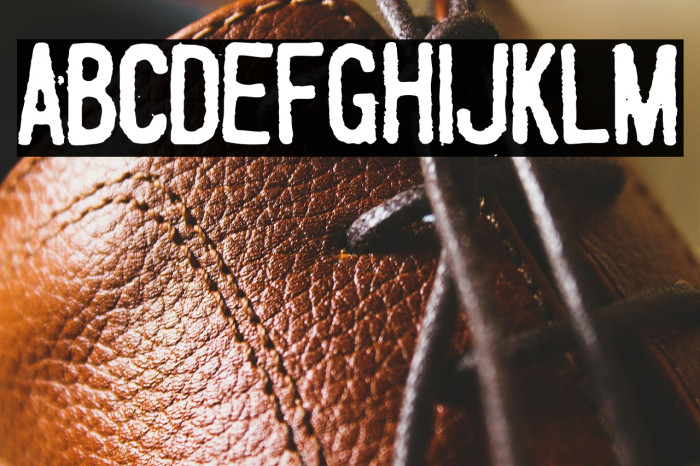 Fueled by Schlitz Example 2