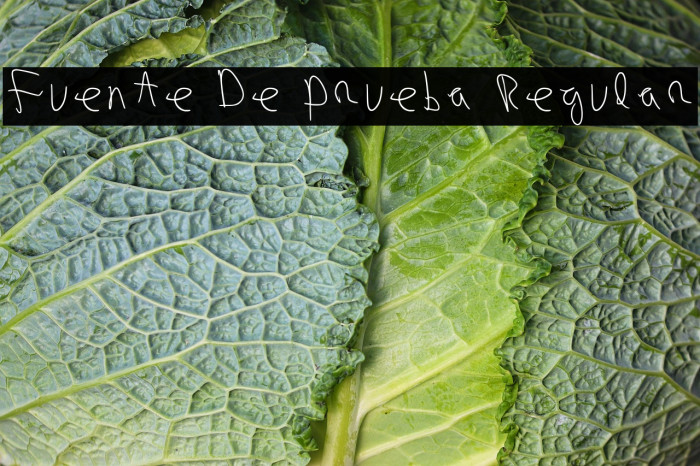 Fuente De Prueba Regular Example 2