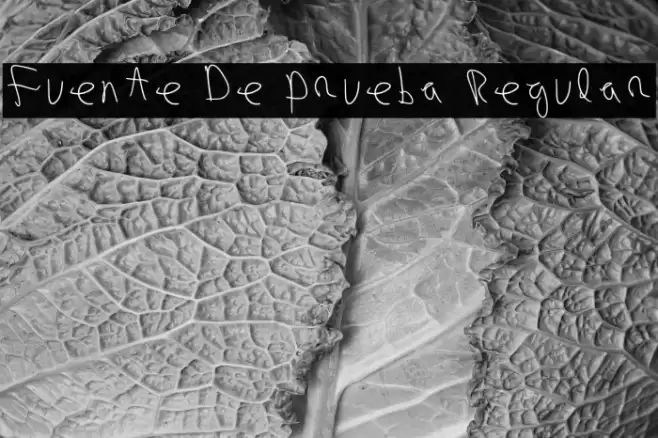 Fuente De Prueba Regular Fonte examples