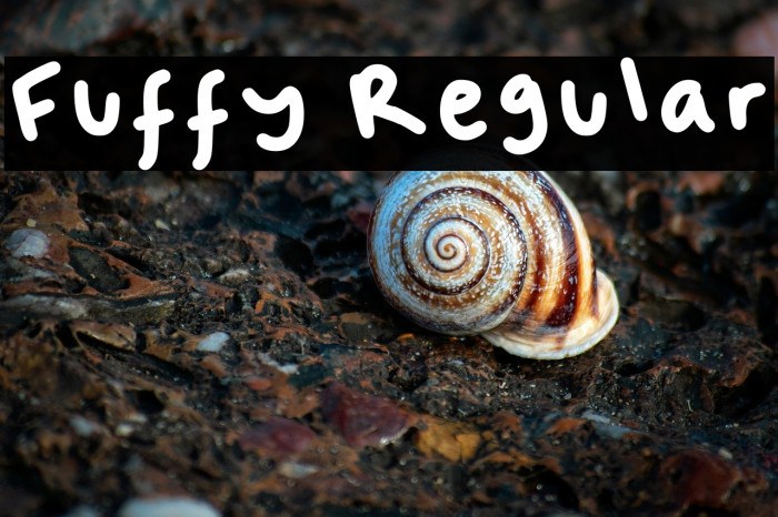 Fuffy Regular Example 1