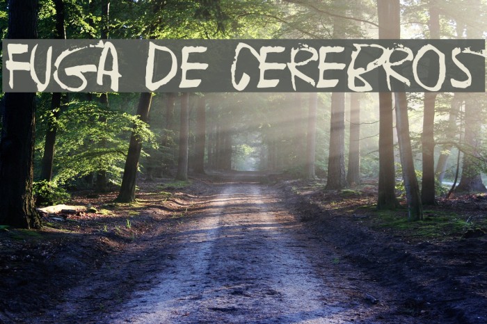 Fuga de cerebros Example 1