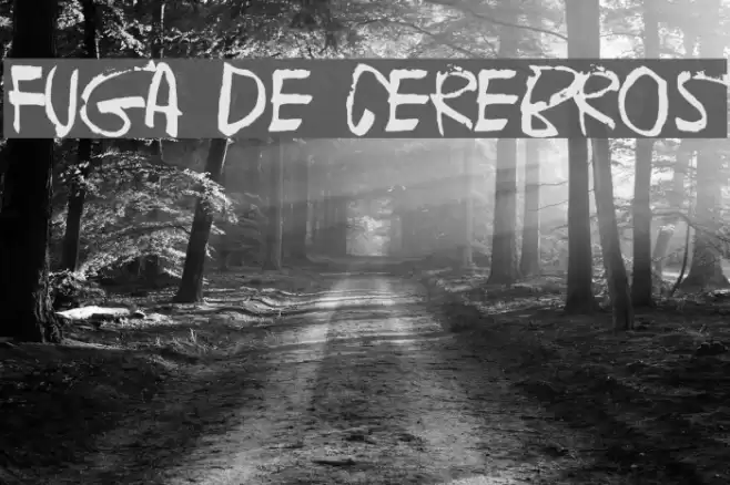 Fuga de cerebros Font examples