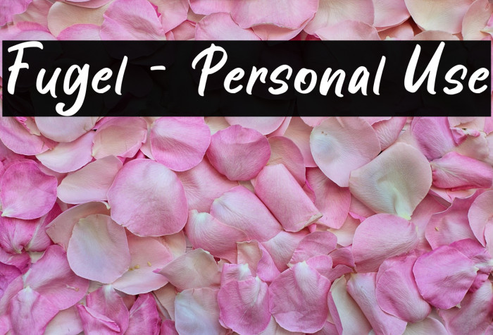 Fugel - Personal Use Example 1