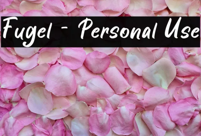 Fugel - Personal Use Example 1