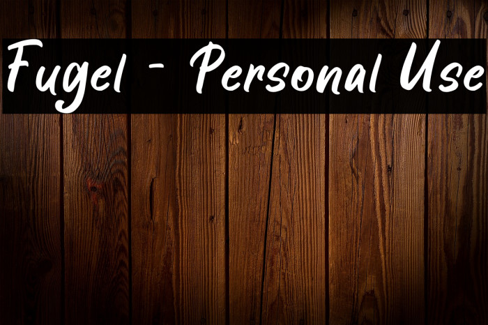 Fugel - Personal Use Example 3