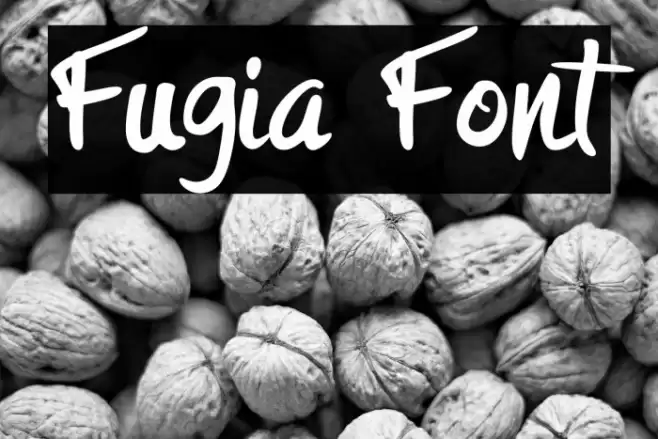 Fugia Font examples