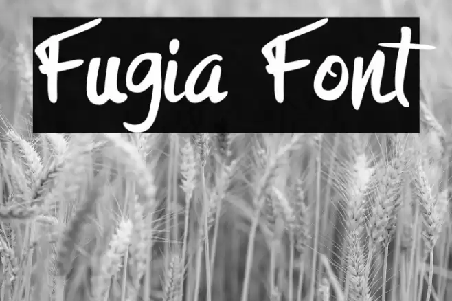 Fugia Font examples