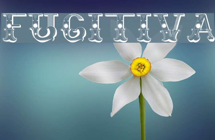Fugitiva Font examples