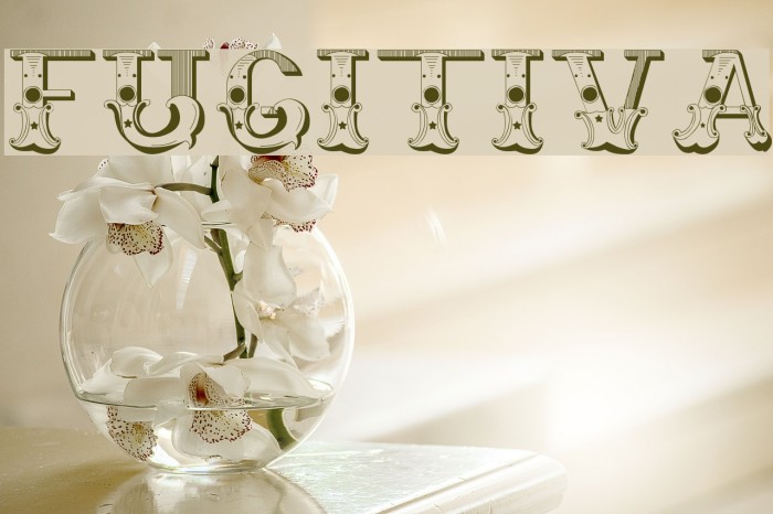 Fugitiva 字体 examples