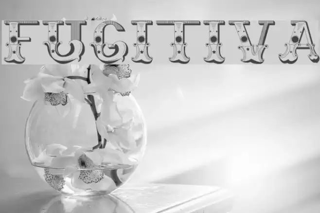 Fugitiva Font examples