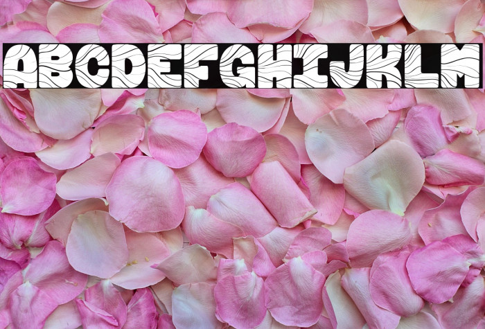 Fugu & Maki_PersonalUseOnly Example 1