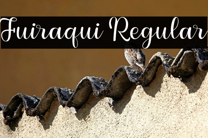 Fuiraqui Regular Example 2