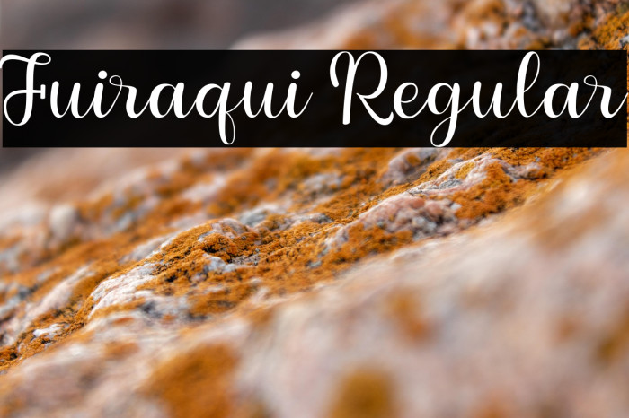 Fuiraqui Regular Example 3