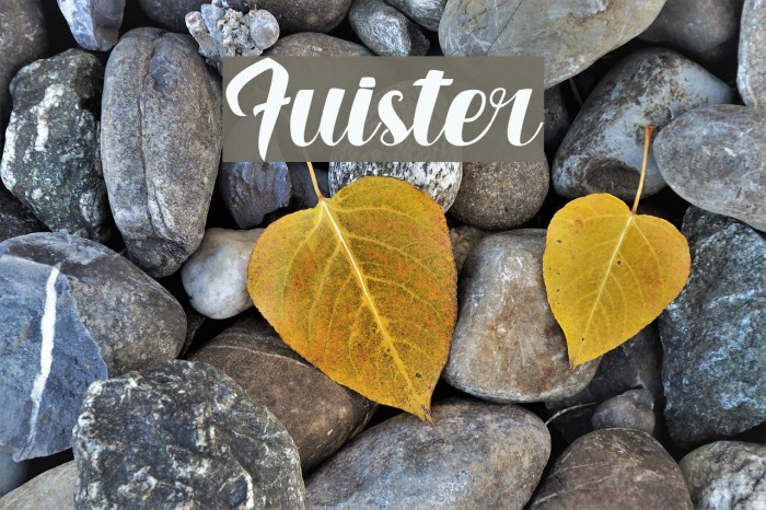 Fuister Font examples