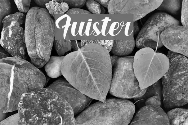 Fuister Font examples