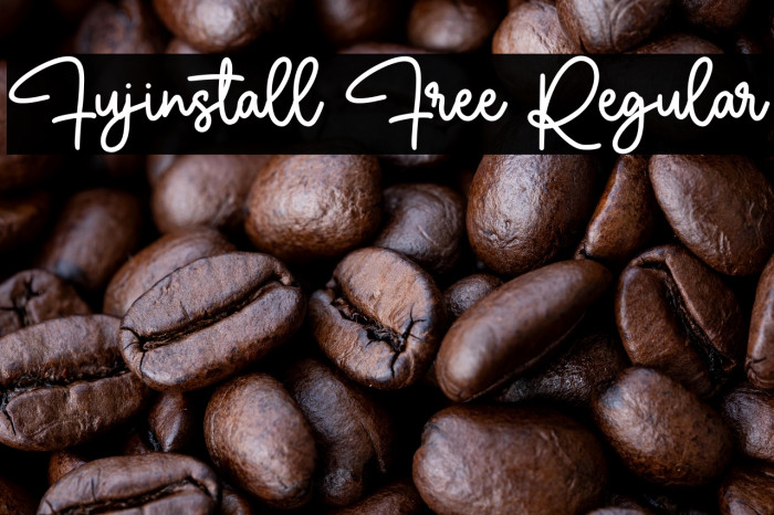 Fujinstall Free Regular Example 1