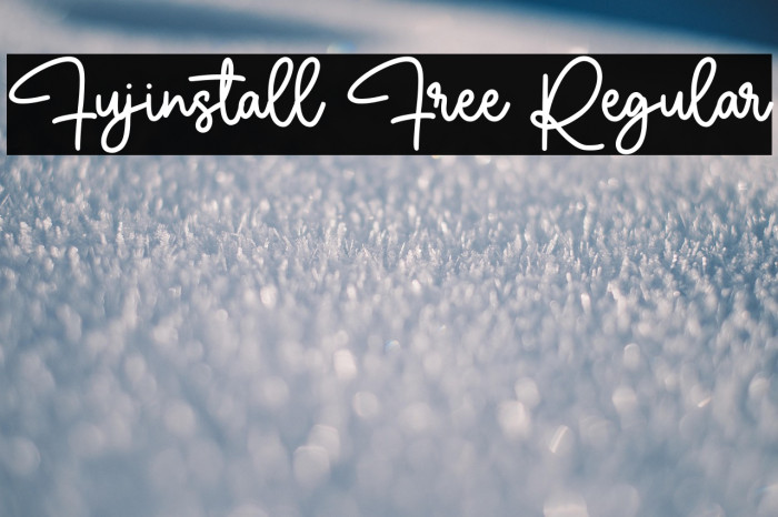 Fujinstall Free Regular Example 3