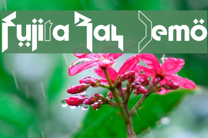 Fujita Ray [Demo] Example 3