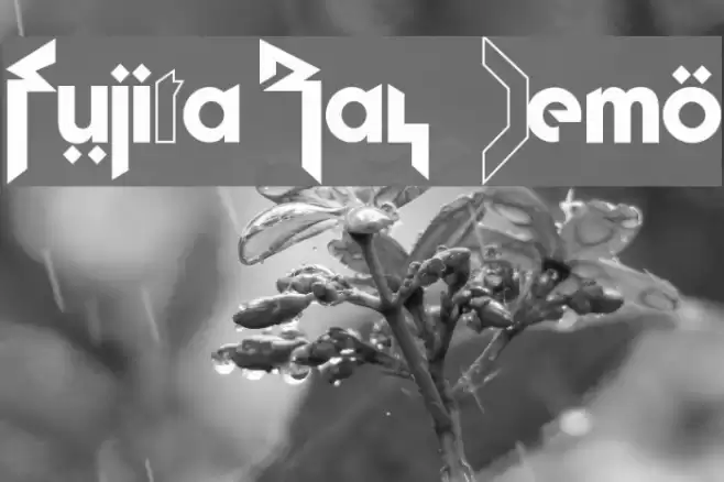 Fujita Ray [Demo] Font examples