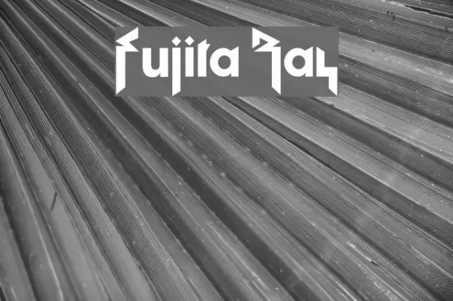 Fujita Ray Font examples