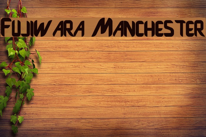 Fujiwara Manchester Font examples