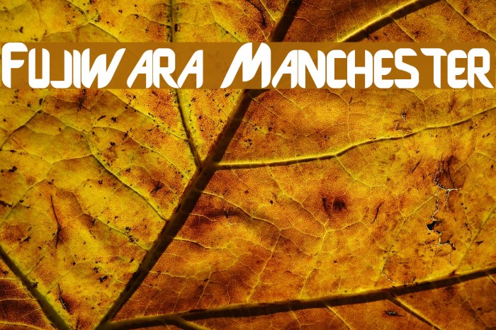 Fujiwara Manchester Font examples
