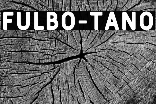 Fulbo-Tano Font examples