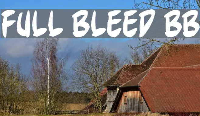 Full Bleed BB Example 2
